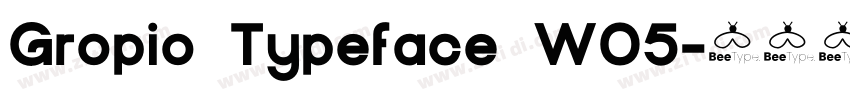 Gropio Typeface W05字体转换
